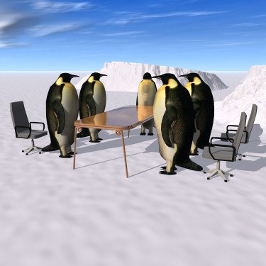 Penguin committee